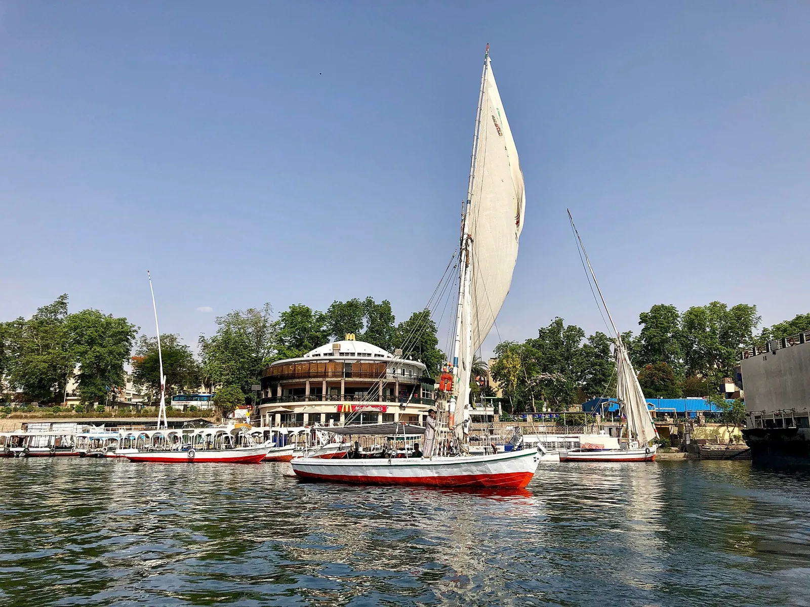 Aswan Horse Carriage Ride Through the City – photo 3