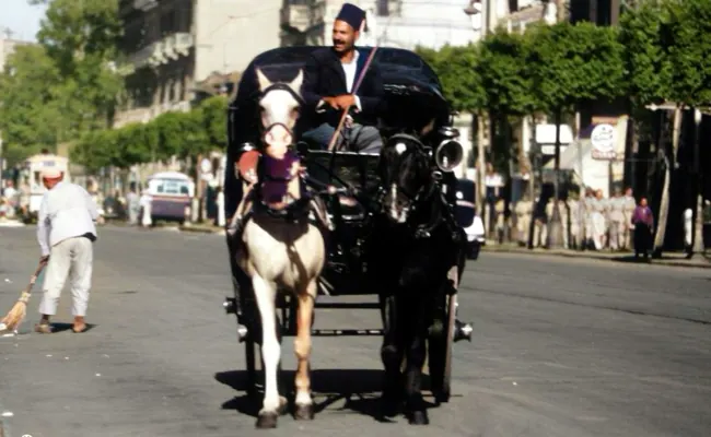 Aswan Horse Carriage Ride Through the City