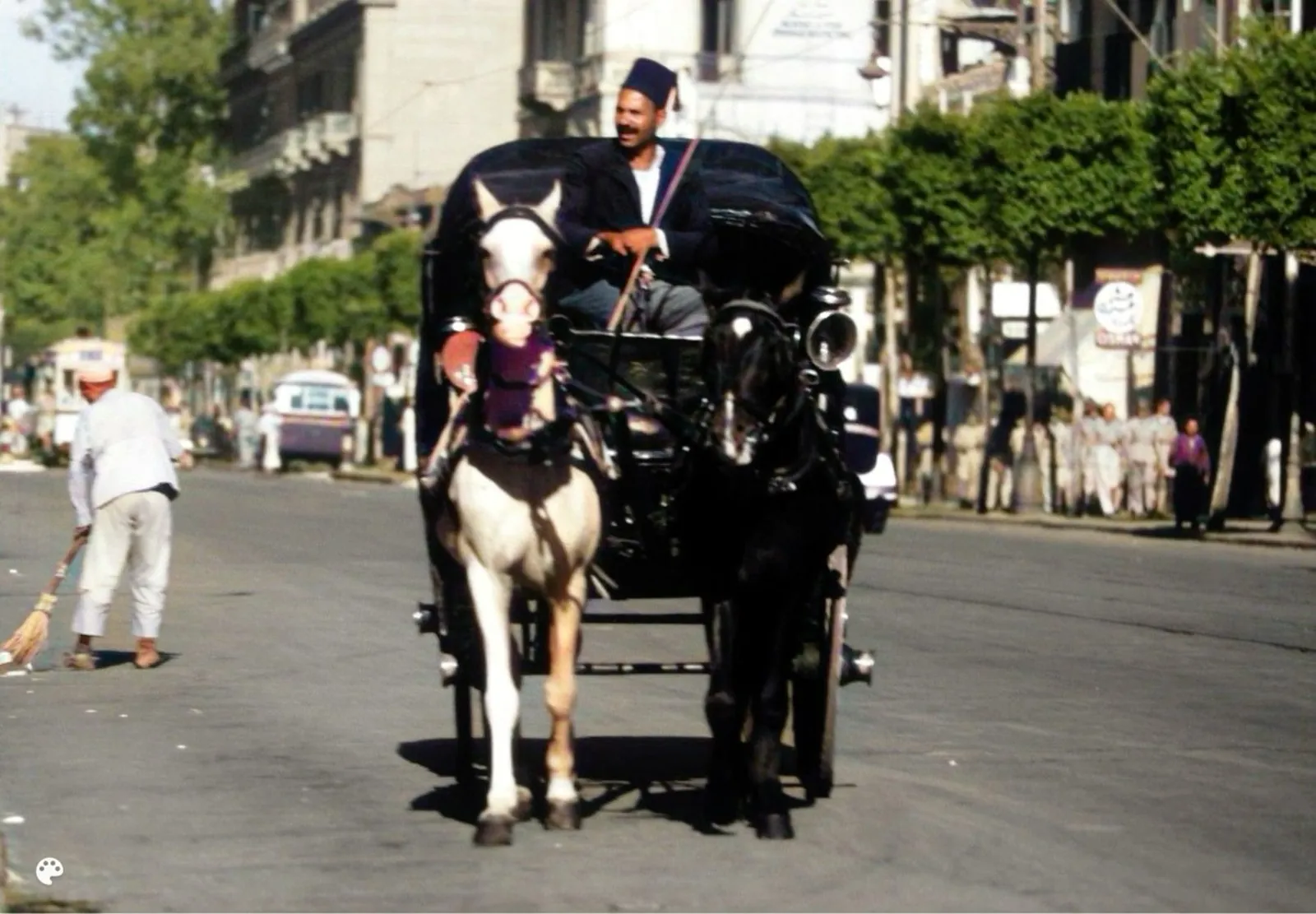 Aswan Horse Carriage Ride Through the City