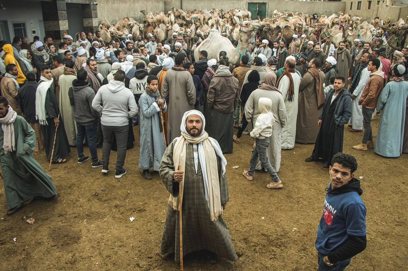 Birqash Camel Market Tour from Cairo