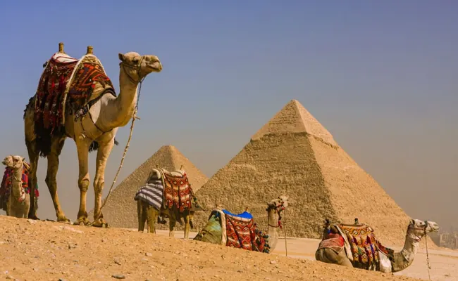 Camel or Horse Ride at the Giza Pyramids