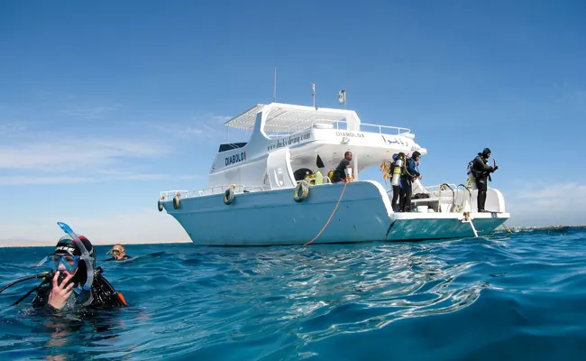 Private Snorkeling Trip in Hurghada