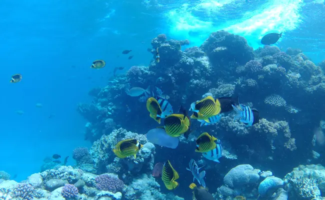 Discover Scuba Diving in Hurghada