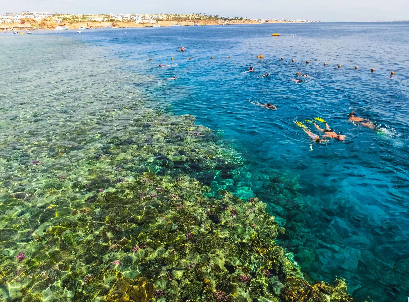 Ras Mohammed Snorkeling – photo 2