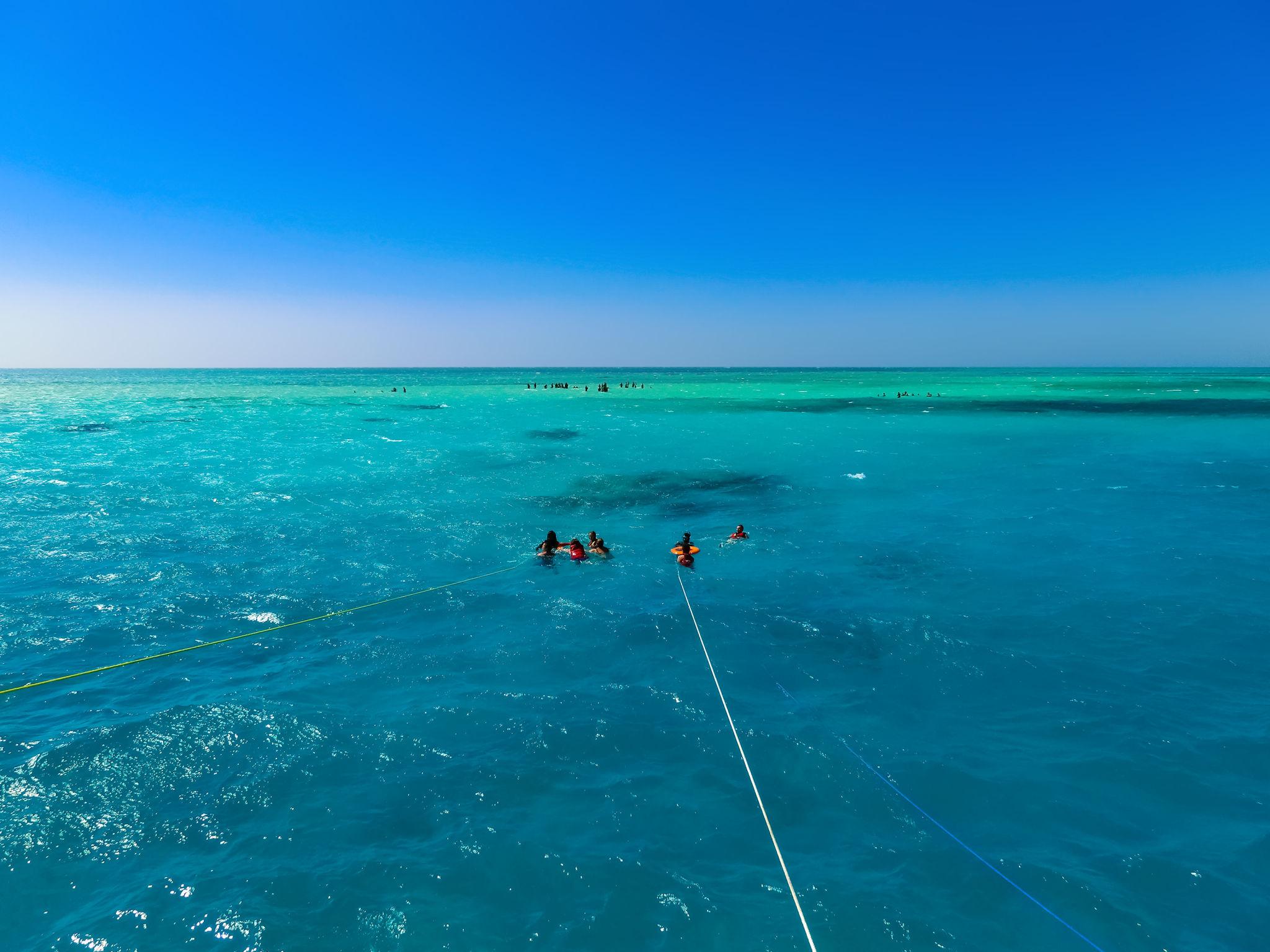 Best Ras Mohammed Snorkeling Tour In Sharm El Sheikh